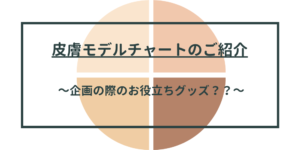 皮膚モデルチャート